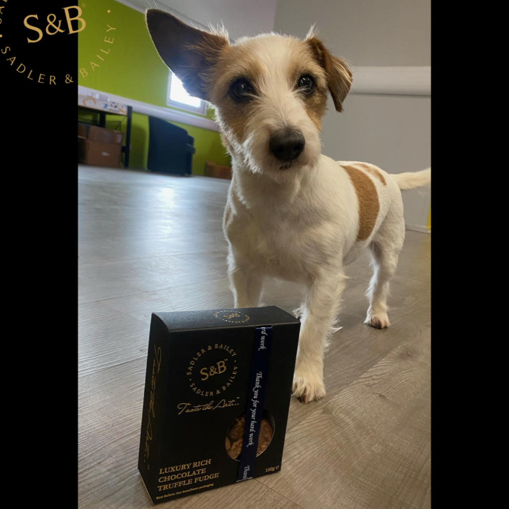 Employee’s Appreciation Day – 3.3.23
